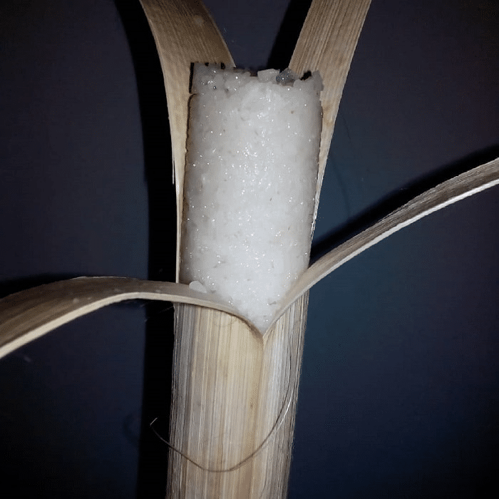 Ini Fakta Menarik Mengenai Pogang, Lemang Pulut Versi Masyarakat Bidayuh Sarawak