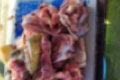 Dalang Penyeludupan Daging Penyu Hingga Ribuan Ringgit Didedah Menurut Jabatan Perikanan