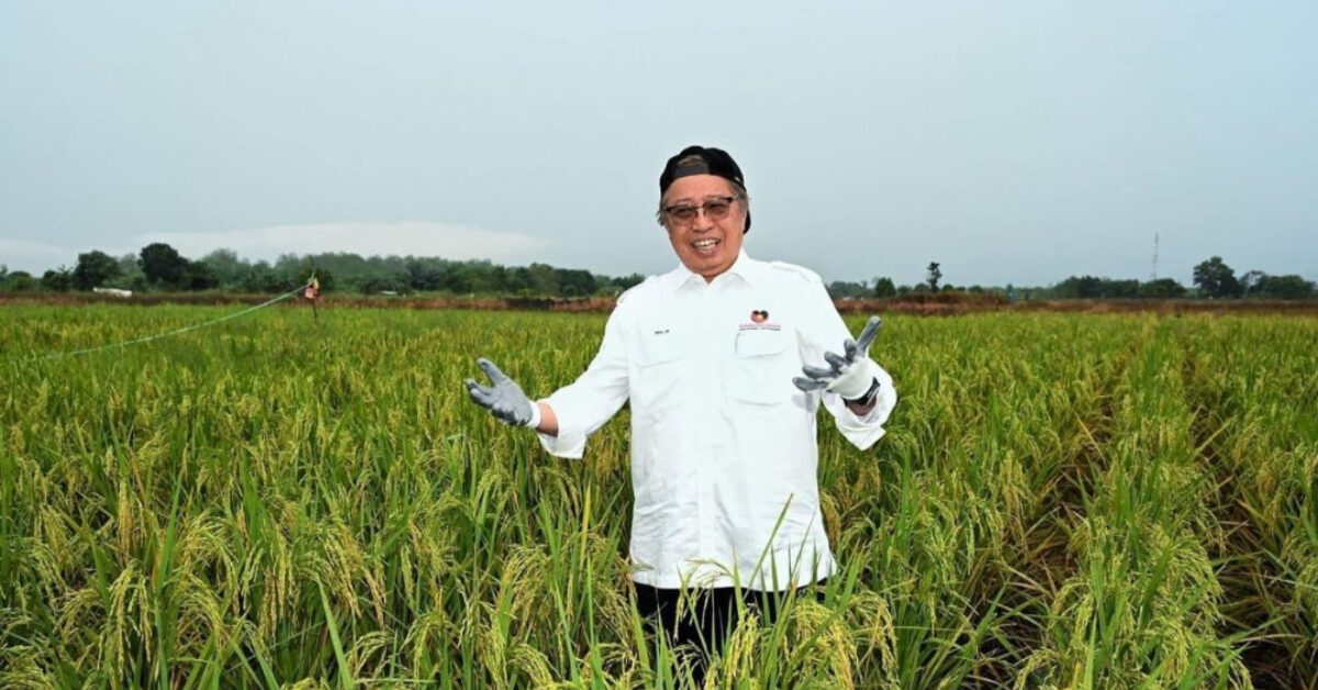 Saing Dengan Kedah, Sarawak Peruntuk RM1 Bilion Untuk Projek Padi Di Sri Aman