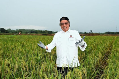 Saing Dengan Kedah, Sarawak Peruntuk RM1 Bilion Untuk Projek Padi Di Sri Aman