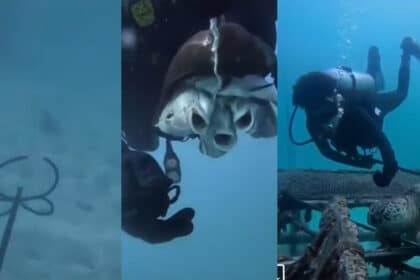 Senjata Terlarang, Tular Lelaki Tangkap Ikan Guna Senapang Panah Di Semporna