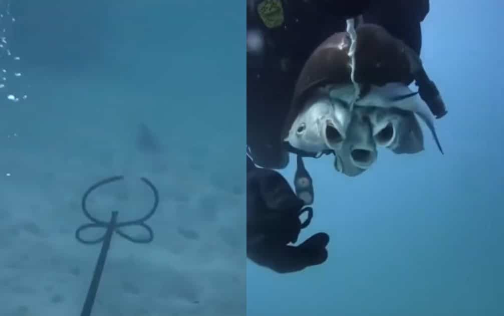 Senjata Terlarang, Tular Lelaki Tangkap Ikan Guna Senapang Panah Di Semporna