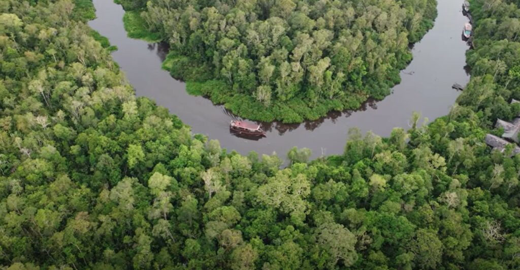 Band Unik Ini Buat Ramai Teruja, Buat Sesi Live Menyanyi Atas Bot Sambil Keliling Hutan Kalimantan