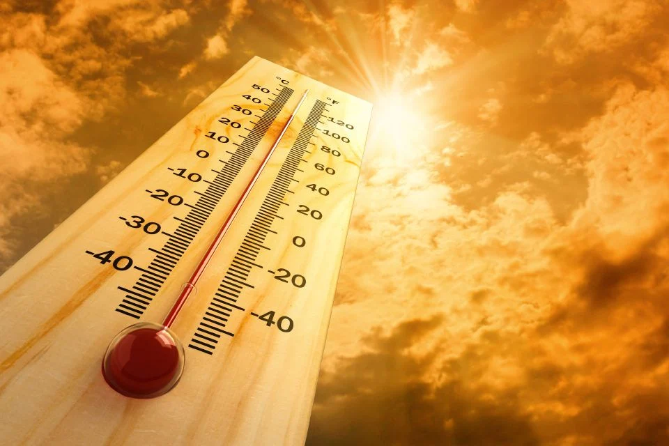 Akibat Aktiviti Manusia Dan El Nino, Tahun 2024 Berpotensi Jadi Tahun Paling Panas Dalam Sejarah Dunia
