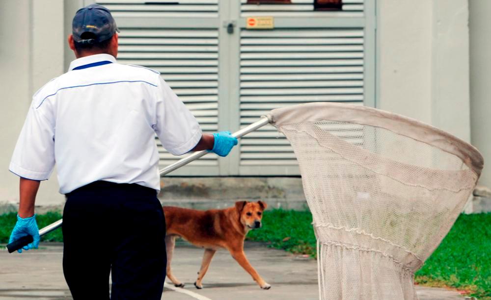 Lindungi Haiwan Peliharaan Anda, Kempen Vaksinasi 'STOP Rabies' Akan Ke Sarawak Pada 27-28 Julai Ini