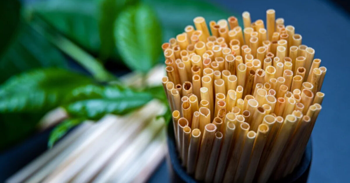 Straw Minuman Beras Ini Mesra Alam Tapi Bahaya Jika Dimakan, Ini Faktanya