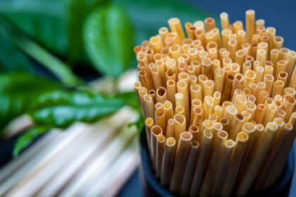 Straw Minuman Beras Ini Mesra Alam Tapi Bahaya Jika Dimakan, Ini Faktanya