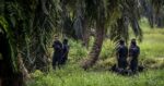 Pekerja Migran Indonesia Maut Ditembak Di Ladang Sawit Sarawak