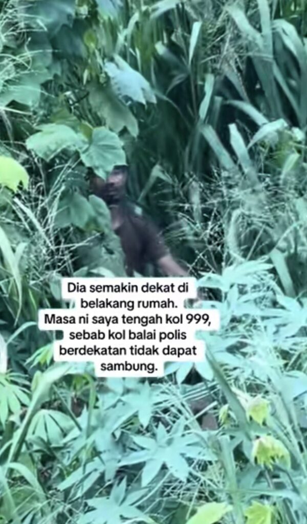 Video Lelaki Sembunyi Di Sebalik Semak Samun Intai Wanita Jemur Kain Di Keningau Bikin Netizen Seram 