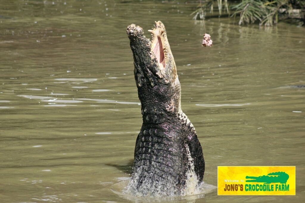 Ini 6 Mini Zoo Sekitar Kuching Dan Serian Yang Boleh Anda Kunjungi Bersama Kanak-Kanak
