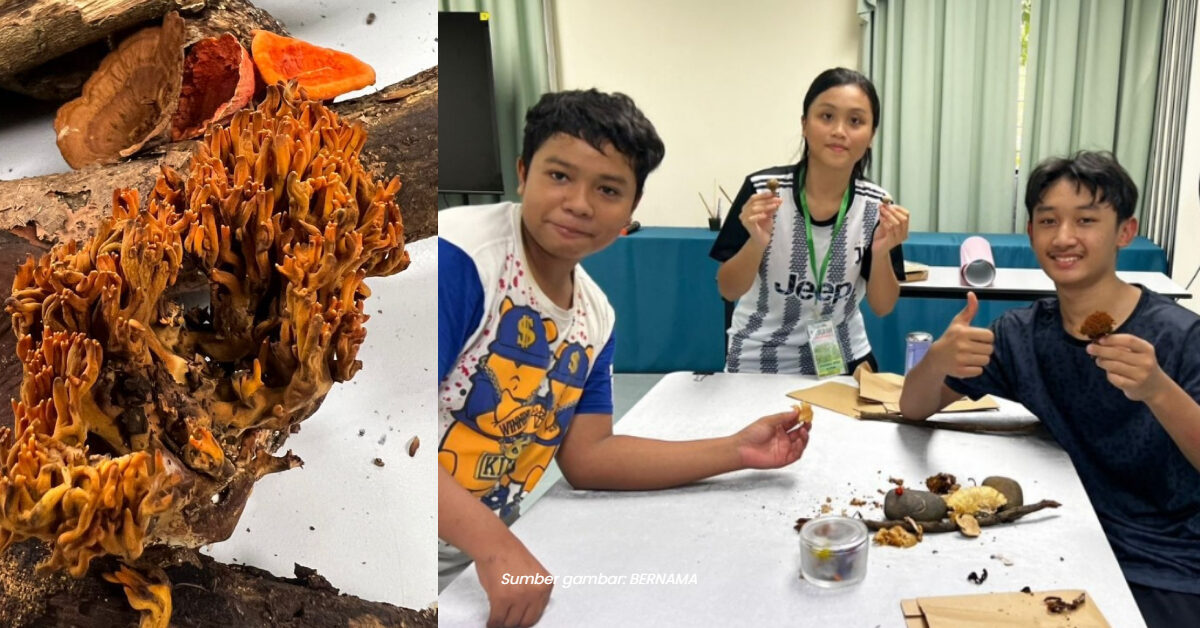 3 Pelajar Menengah Ini Rekod Penemuan Spesies Kulat Karang Pertama Di Sabah
