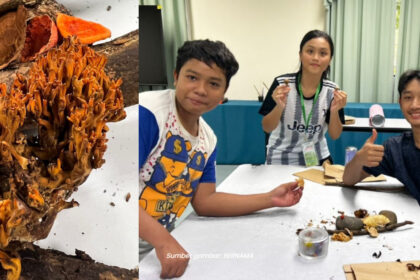 3 Pelajar Menengah Ini Rekod Penemuan Spesies Kulat Karang Pertama Di Sabah