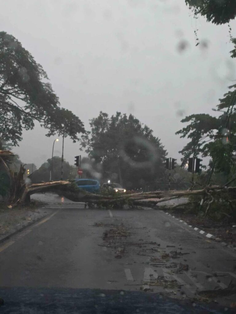 Hujan Lebat, Pokok Tumbang Dan Lampu Isyarat Rosak Di Depan Hospital Normah