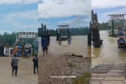 Tular Treler Jatuh Dari Sawai Feri Cetus Panik Netizen Di Daro