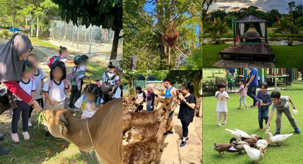 Ini 6 Mini Zoo Sekitar Kuching Dan Serian Yang Boleh Anda Kunjungi Bersama Kanak-Kanak
