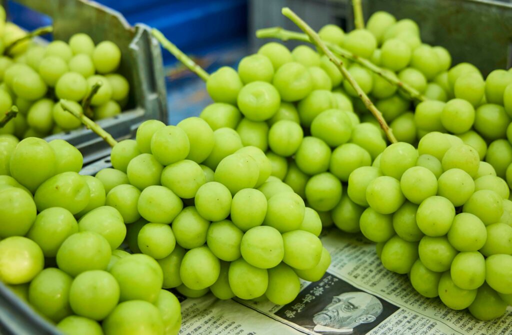 Anggur Shine Muscat Didakwa Ada Bahan Kimia, KPKM Dan MARDI Ambil Langkah Siasatan