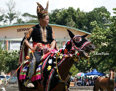 Kuda Bajau Kota Belud, Ketahui Warisan Unik Suku Kaum Bajau Di Sabah