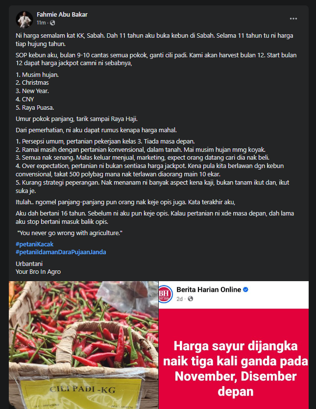 Petani Sabah Kongsi Pengalaman Jual Cili Padi Boleh Raih Hampir RM100 Sekilo