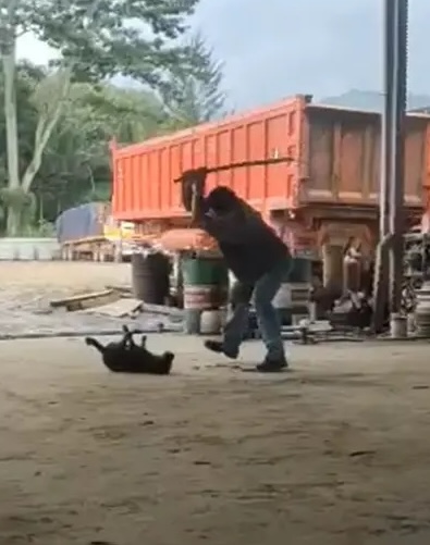 Pukul Anjing Guna Rod Besi, Lelaki Di Sabah Ditahan