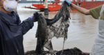 Selipar Dan Plastik Sampah Sarap Antara Bendasing Ditemui Dalam Perut Paus Baleen