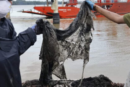 Selipar Dan Plastik Sampah Sarap Antara Bendasing Ditemui Dalam Perut Paus Baleen