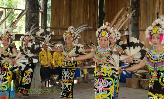 Fungsi Tari Dukun Dalam Suku Dayak Bernyadu Di Kecamatan Bengkayang