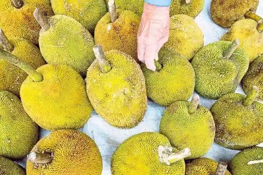 Sokong Hasil Tempatan, Pasar Buah-Buahan Bermusim Bakal Dibuka di Tabuan Jaya