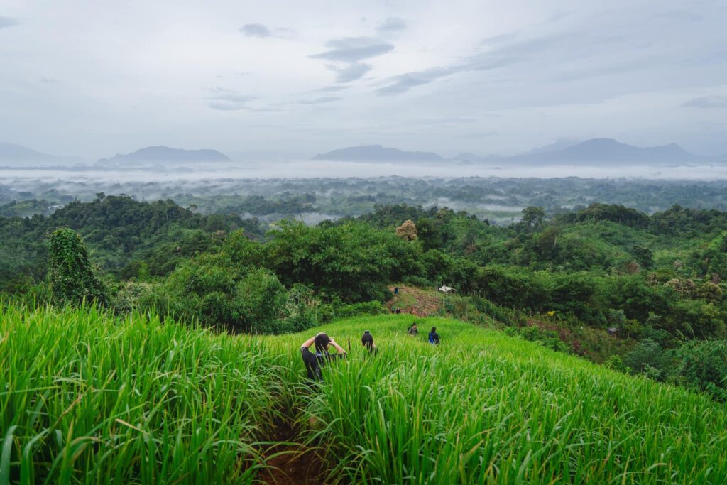 Gunung Tama, Trail Untuk Beginner Mengejar Awan Karpet Di Serian