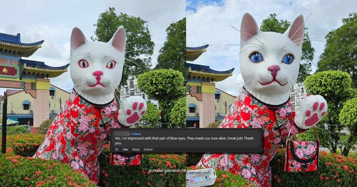 Ikon Kuching Tampak Lebih Hidup, Kucing Padungan Kini Bermata Biru Raih Pujian Netizen