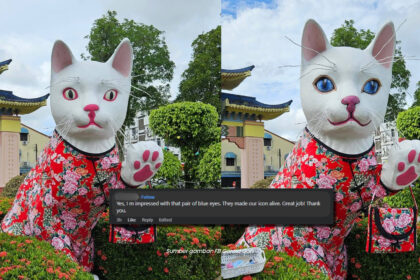 Ikon Kuching Tampak Lebih Hidup, Kucing Padungan Kini Bermata Biru Raih Pujian Netizen