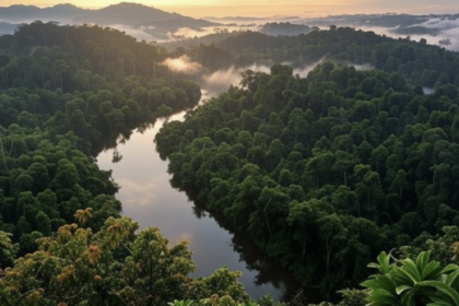Hutan Hujan Borneo: Rahsia, Ancaman, dan Masa Depan Ekosistem Tertua di Dunia