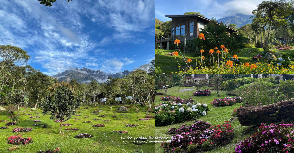 Vila Mewah Dalam Taman Bunga Dengan View Gunung Kinabalu, Macam Dekat New Zealand