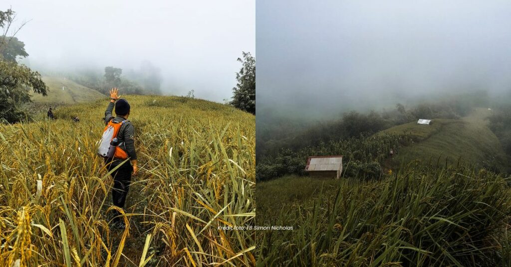 Gunung Tama, Trail Untuk Beginner Mengejar Awan Karpet Di Serian