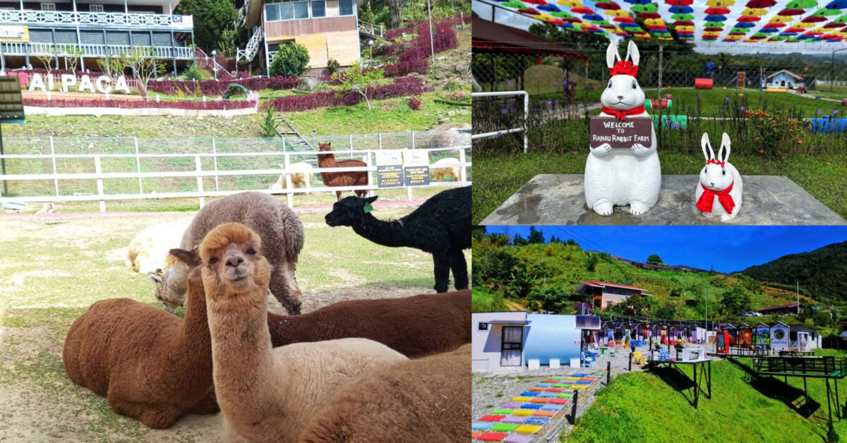5 Destinasi Menarik Di Sabah Untuk Cuti Sekolah, Wajib Singgah Bersama Keluarga