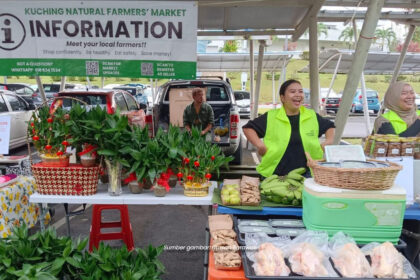 Hias Laman Rumah Anda Dengan Tanaman Organik, Kunjungi Farmer's Market Di MBKS Kuching
