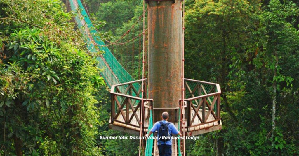 Danum Valley Penting Dalam Kajian Alam Sekitar, Ketahui Sebabnya