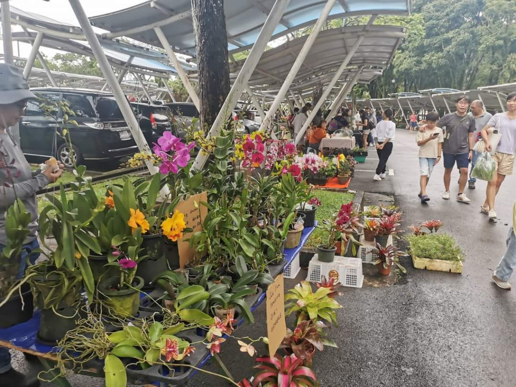 Hias Laman Rumah Anda Dengan Tanaman Organik, Kunjungi Farmer's Market Di MBKS Kuching