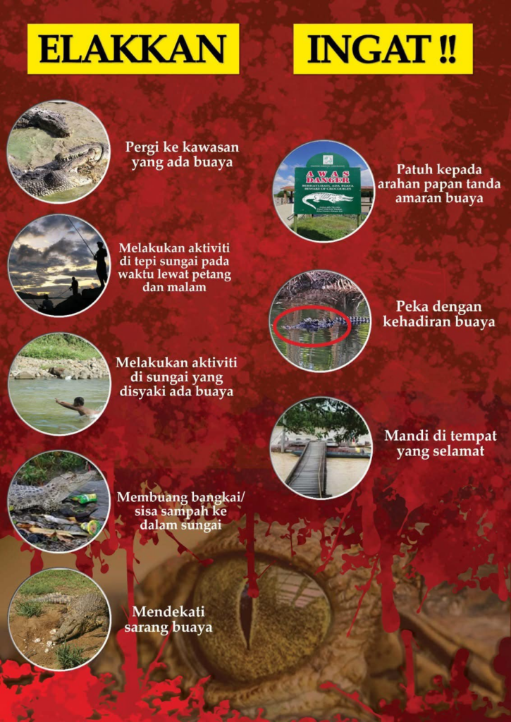 SFC Keluar Amaran Berjaga-Jaga Dengan Ancaman Buaya Ketika Banjir Di Sarawak