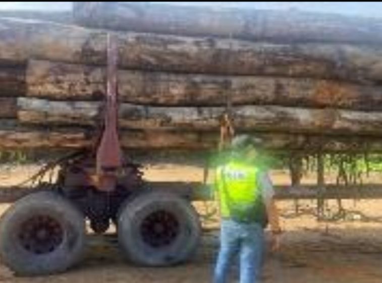 PGA Sarawak Rampas Barangan Seludup Dan Balak Haram Bernilai RM4.8 Juta