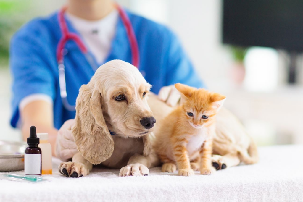 Rabies Makin Membimbangkan Di Sarawak, 11 Kes Baharu Dicatat Mac Ini
