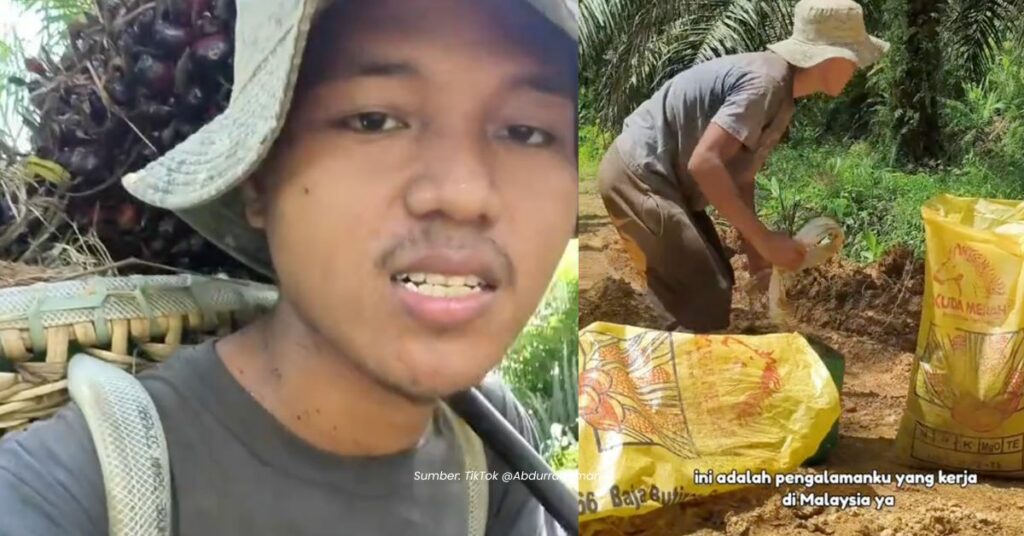 Pekerja Sawit Ini Selesa Bekerja Di Malaysia, Hanya Dibayar RM4 Sehari Di Indonesia