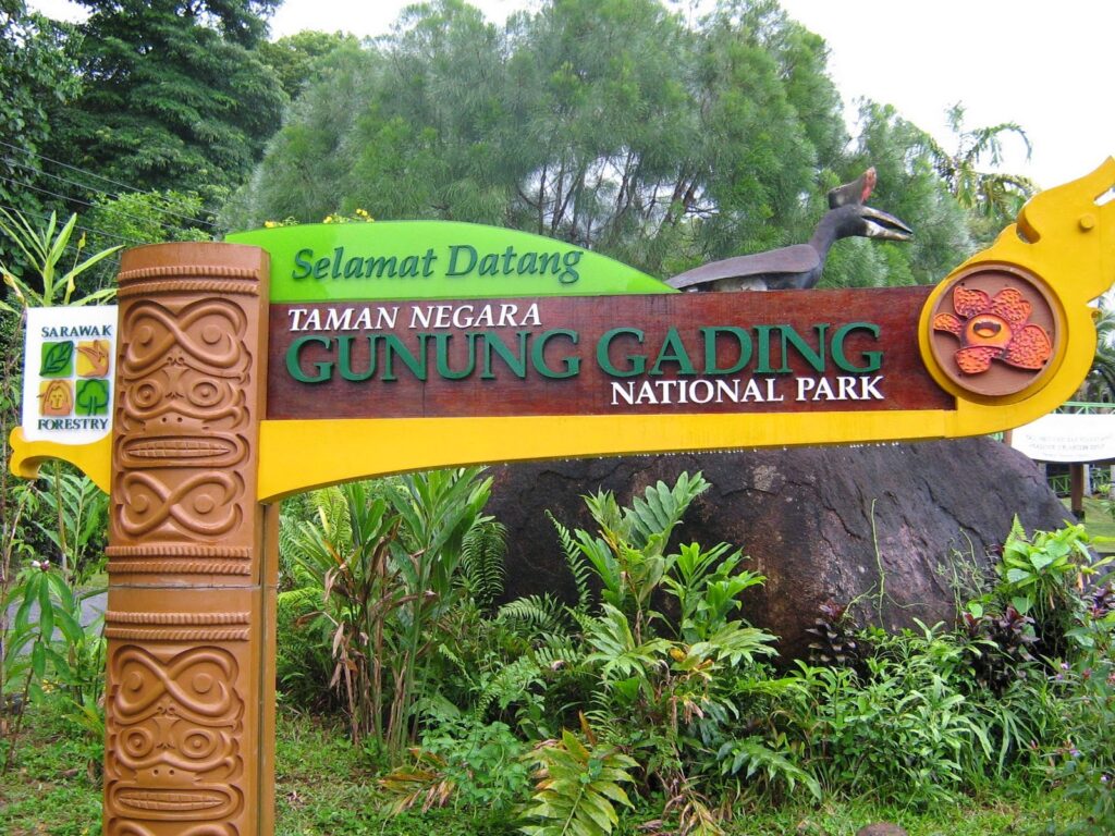 Ini 4 Peranan Penting Taman Negara Dalam Memelihara Warisan Semula Jadi Borneo