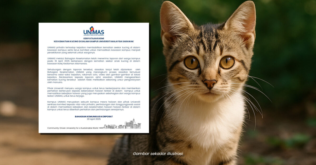 UNIMAS Sahkan Kematian Anak Kucing Bukan Akibat Penderaan