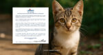 UNIMAS Sahkan Kematian Anak Kucing Bukan Akibat Penderaan