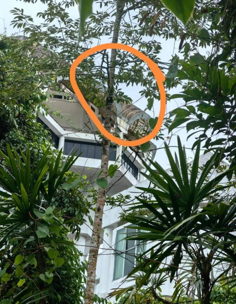 Kuching Civic Centre Bakal Dinaik Taraf Mulai Bulan Julai Ini