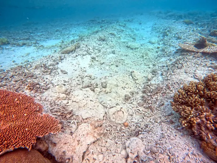 Terumbu Karang Diancam, Aktiviti Dredging Di Pulau Pom-Pom Semporna Cetus Kebimbangan