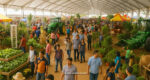 Festival Pertanian Terbesar, Sarawak Agrofest 2025 Bakal Diadakan Di Bintulu