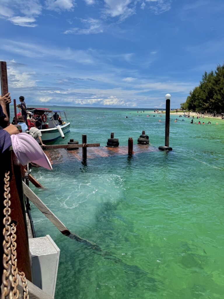 Ini Panduan Lengkap Island Hopping 4 Pulau Dari Kota Kinabalu Sabah