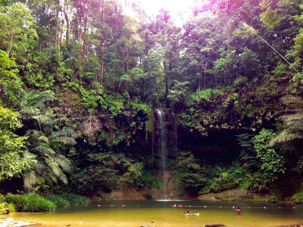 Air Terjun Bertingkat, Terokai Keindahan Taman Negara Lambir Hills Di Miri