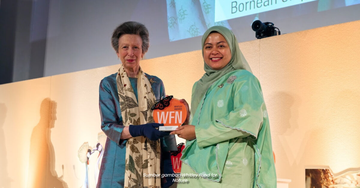 Pensyarah UMS Gigih Lindungi Gajah Borneo, Dr. Farina Terima Anugerah Whitley 2025